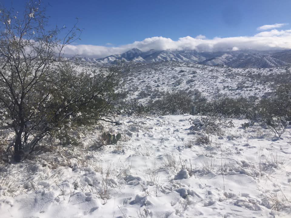 Snow near Biosphere 2